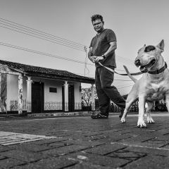 1 white dog