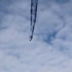 8ffe25a745c204dfdebc2160991affde