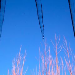 f03a0475135bc04ef0332e6e04cc0b11