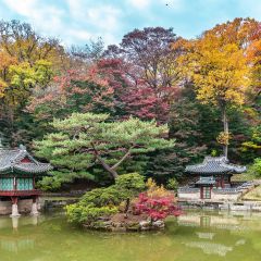 3  changdeokgung secret garden  seoul