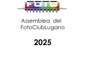 Assemblea e comitato 2025