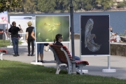 Esposizione al Belvedere: i diversi eventi