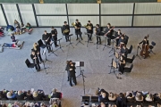 Ticino musica
