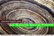La salute delle piante